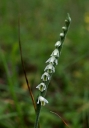 IMGP3035-1024.jpg