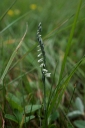 IMGP3037-1024.jpg