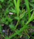IMGP3085-1024.jpg