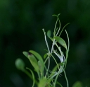 IMGP3114-1024.jpg