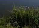 IMGP3158-1024.jpg