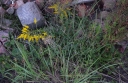IMGP3162-1024.jpg