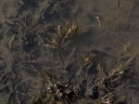 IMGP3206-1024.jpg