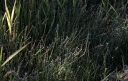 IMGP3216-1024.jpg