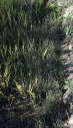 IMGP3222-1024.jpg
