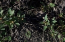 IMGP3234-1024.jpg