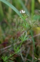 IMGP3307-1024.jpg