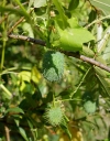 IMGP3318-1024.jpg
