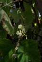 IMGP3341-1024.jpg