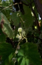 IMGP3342-1024.jpg