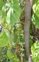 IMGP3343-1024.jpg