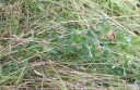 IMGP3365-1024.jpg