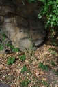 IMGP3372-1024.jpg