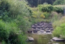 IMGP3390-1024.jpg