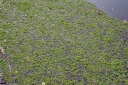 IMGP3406-1024.jpg