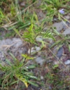IMGP3428-1024.jpg