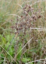 IMGP3440-1024.jpg