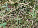 IMGP3448-1024.jpg