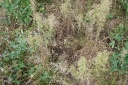 IMGP3468-1024.jpg