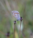 IMGP3508-1024.jpg