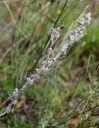 IMGP3530-1024.jpg