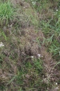 IMGP3550-1024.jpg
