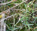 IMGP3600-1024.jpg