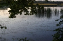IMGP3611-1024.jpg