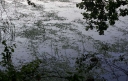 IMGP3612-1024.jpg
