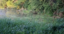 IMGP3620-1024.jpg