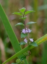 IMGP3640-1024.jpg