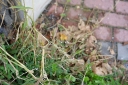 IMGP3653-1024.jpg