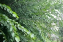 IMGP3654-1024.jpg