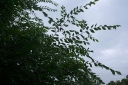 IMGP3655-1024.jpg