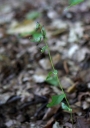 IMGP3702-1024.jpg