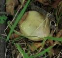 IMGP3738-1024.jpg