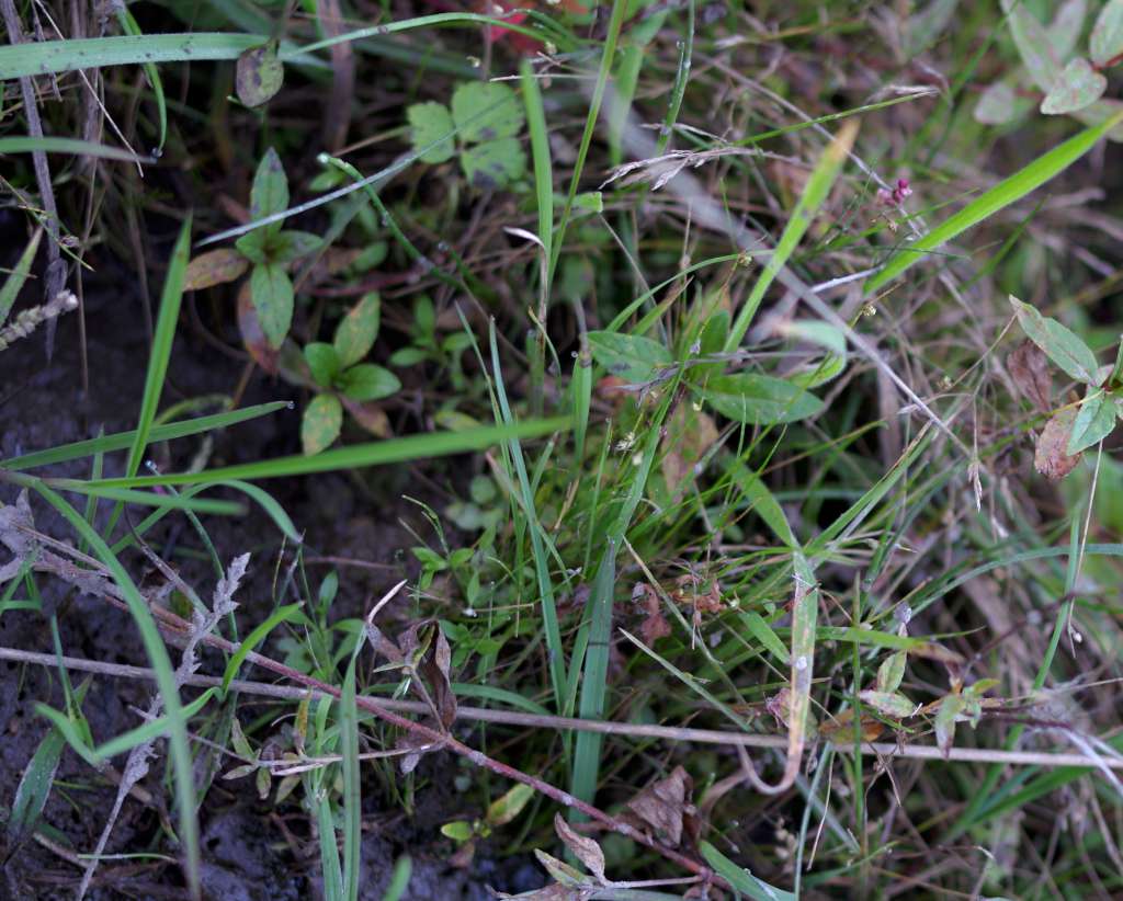 IMGP3769-1024.jpg