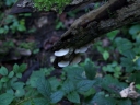 IMGP3795-1024.jpg