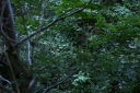 IMGP3799-1024.jpg