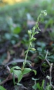IMGP3837-1024.jpg