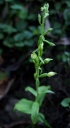 IMGP3848-1024.jpg