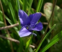 IMGP3874-1024.jpg