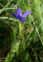 IMGP3879-1024.jpg