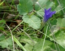 IMGP3907-1024.jpg