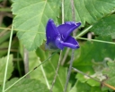 IMGP3908-1024.jpg