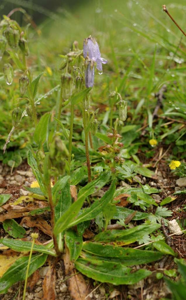 IMGP0027-1024~2.jpg
