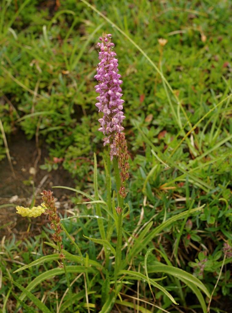 IMGP0038-1024~1.jpg