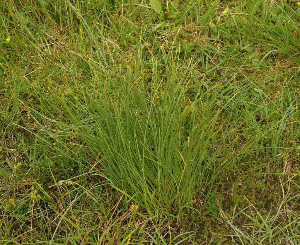 IMGP0040-1024.jpg