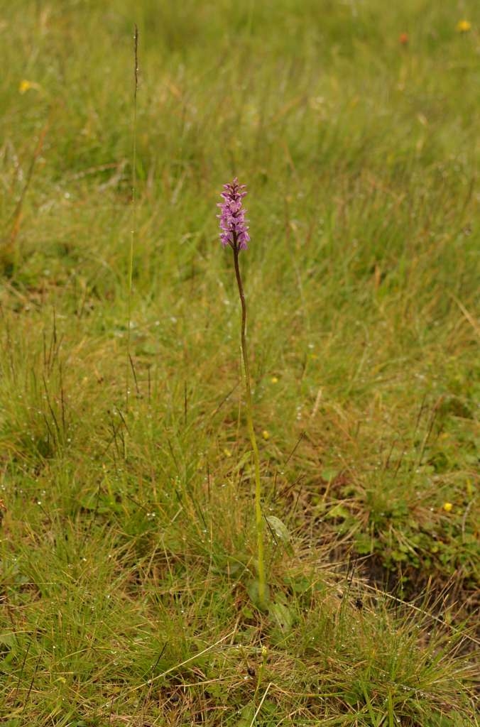 IMGP0073-1024~2.jpg