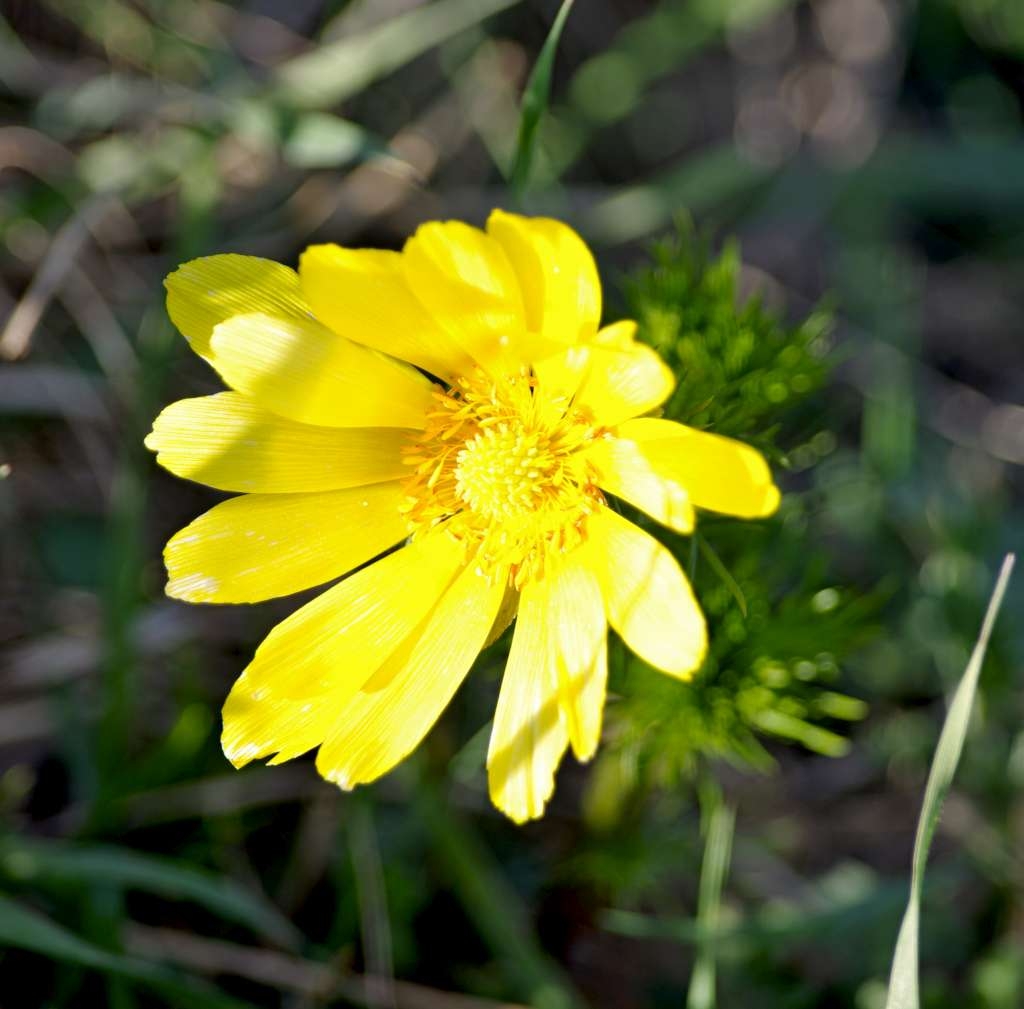 IMGP0090-1024~0.jpg